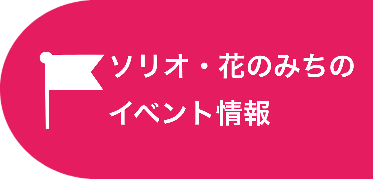 最新のイベント情報はこちら